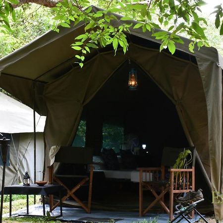 Explorer By Eco Team - Wasgamuwa National Park ภายนอก รูปภาพ