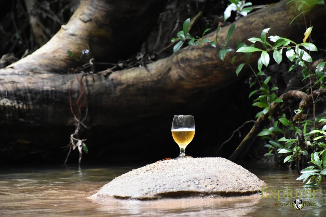 Explorer By Eco Team - Wasgamuwa National Park ภายนอก รูปภาพ