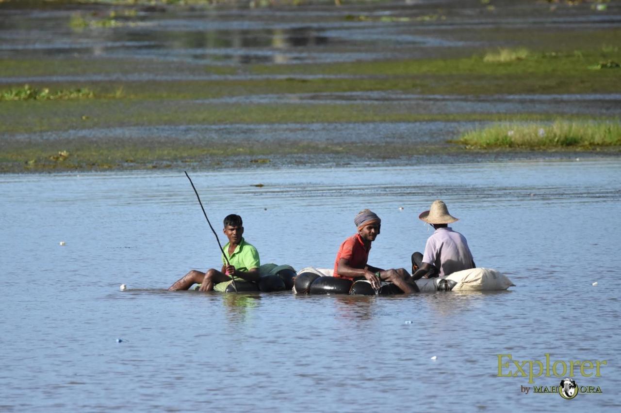 Explorer By Eco Team - Wasgamuwa National Park ภายนอก รูปภาพ