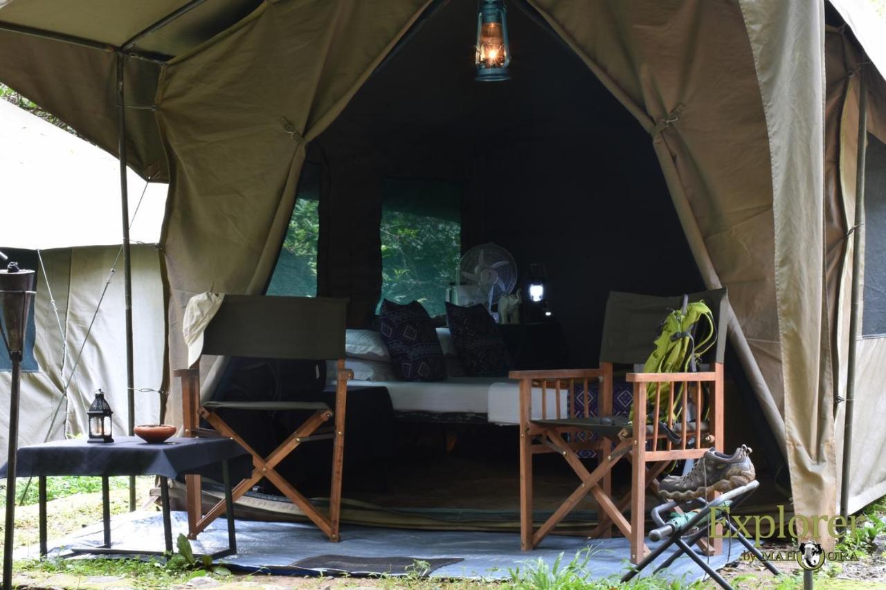 Explorer By Eco Team - Wasgamuwa National Park ภายนอก รูปภาพ