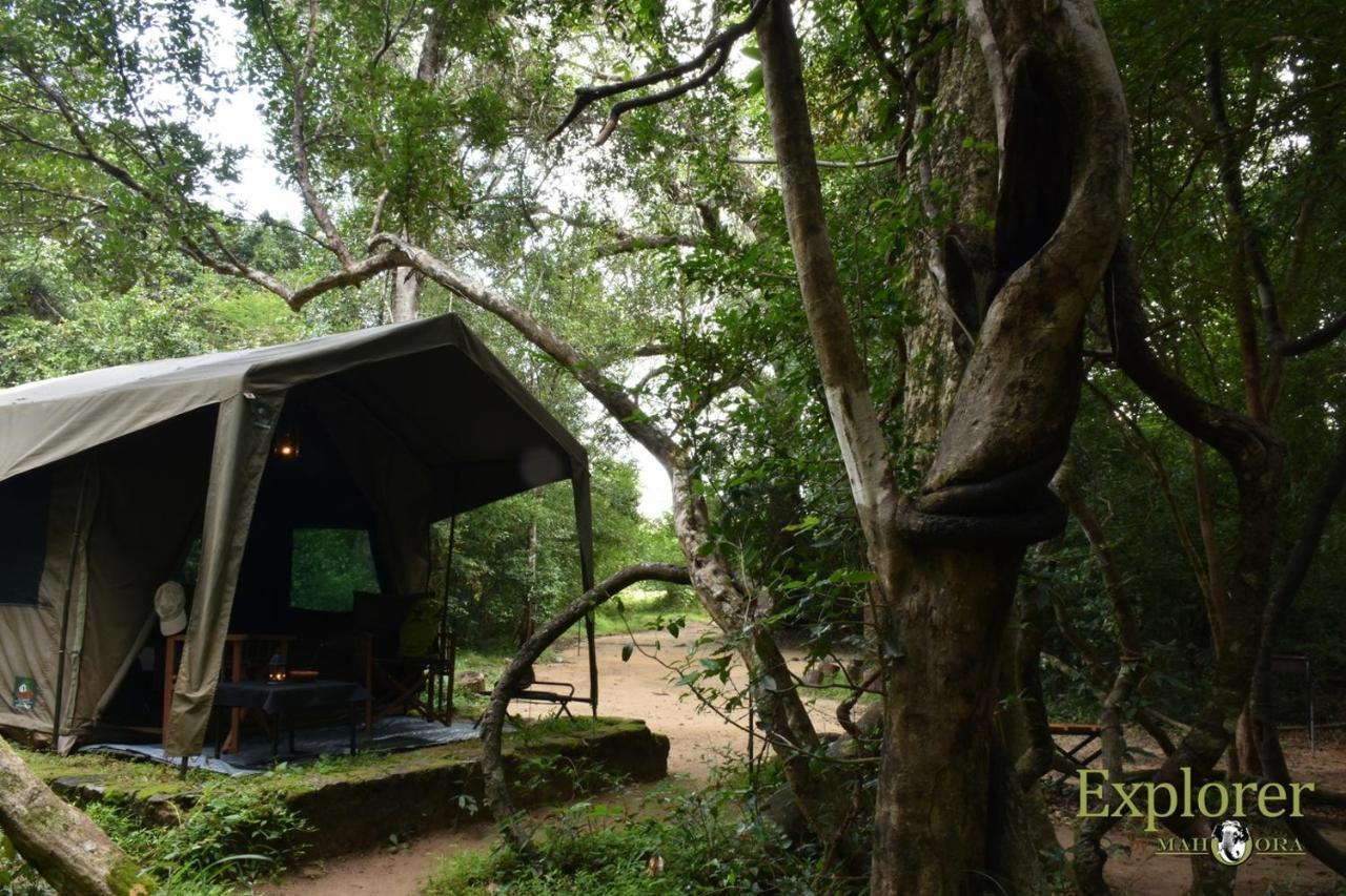 Explorer By Eco Team - Wasgamuwa National Park ภายนอก รูปภาพ