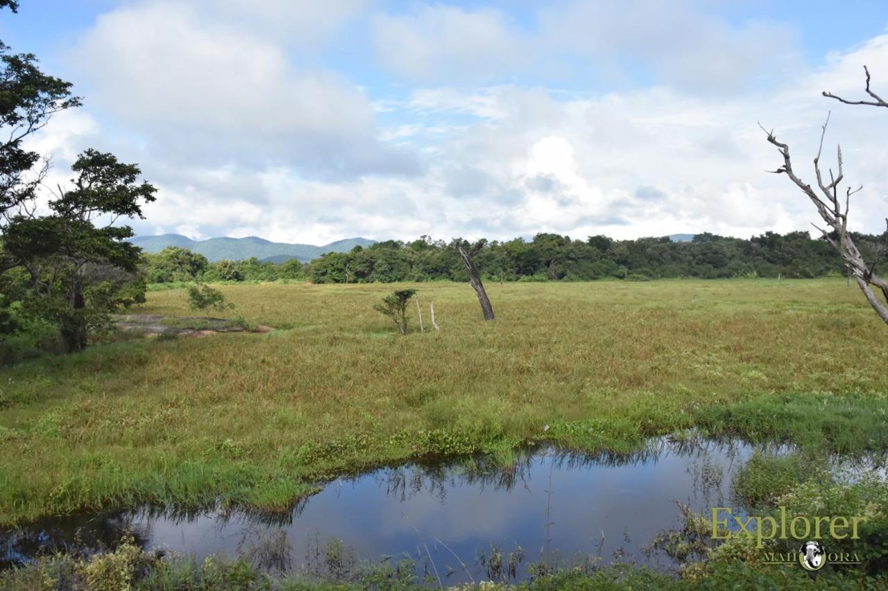 Explorer By Eco Team - Wasgamuwa National Park ภายนอก รูปภาพ