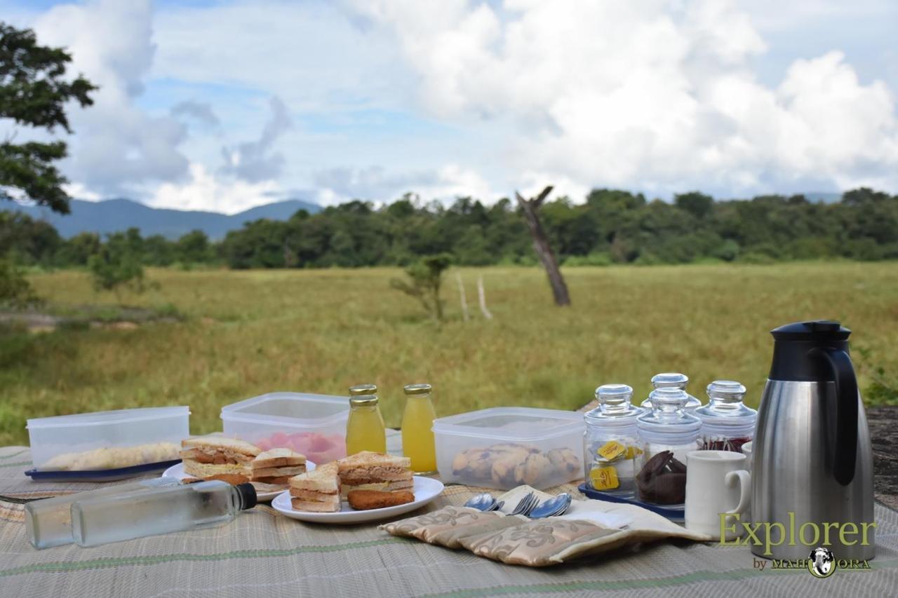 Explorer By Eco Team - Wasgamuwa National Park ภายนอก รูปภาพ
