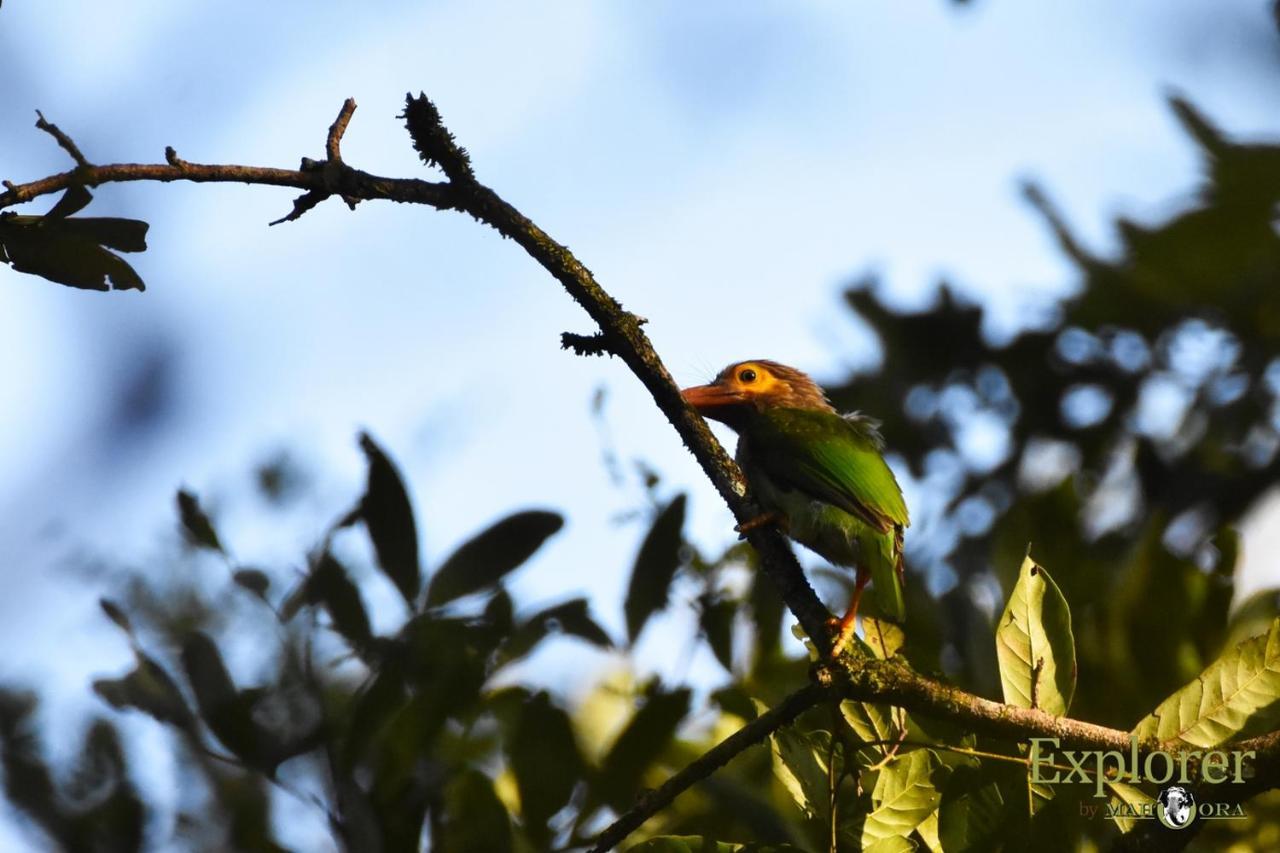Explorer By Eco Team - Wasgamuwa National Park ภายนอก รูปภาพ