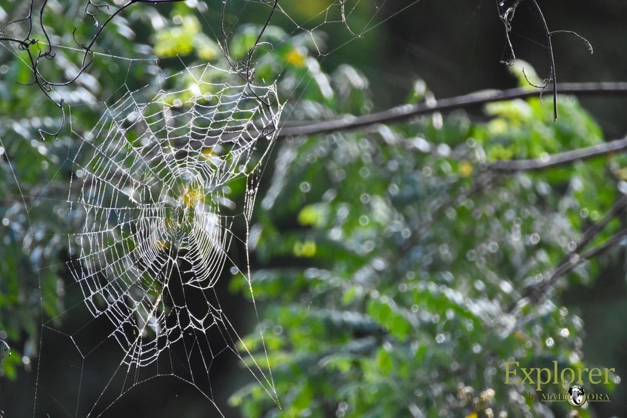 Explorer By Eco Team - Wasgamuwa National Park ภายนอก รูปภาพ