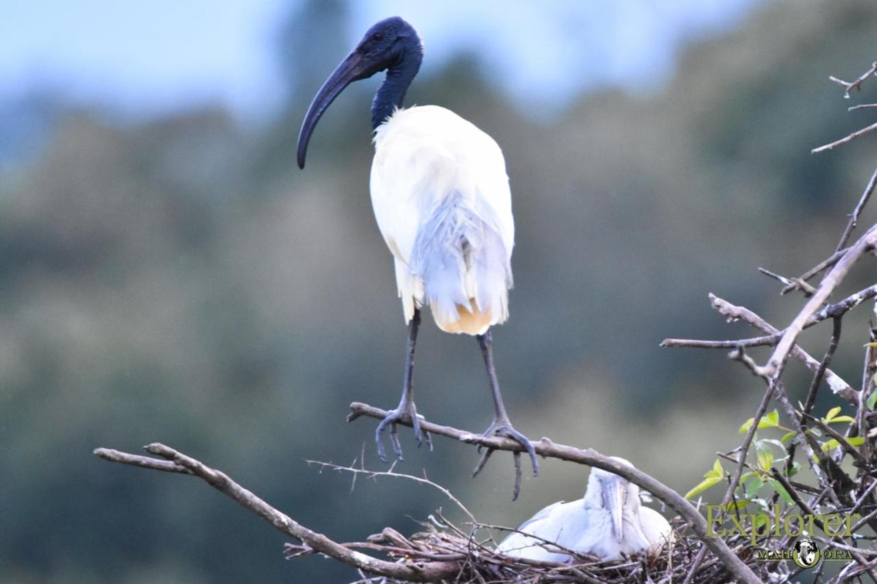 Explorer By Eco Team - Wasgamuwa National Park ภายนอก รูปภาพ